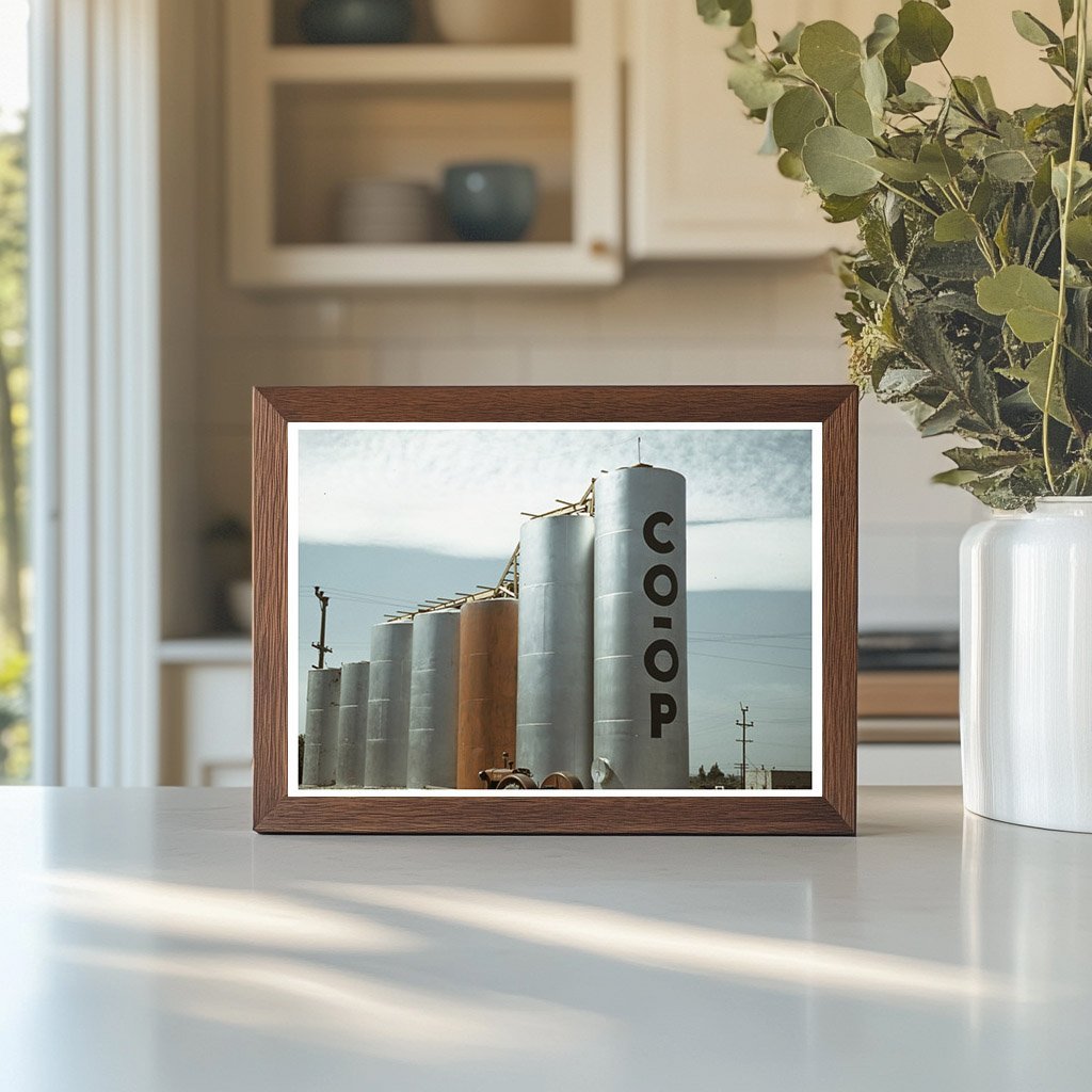 Grain Elevators in Caldwell Idaho July 1941 Vintage Photo - Available at KNOWOL