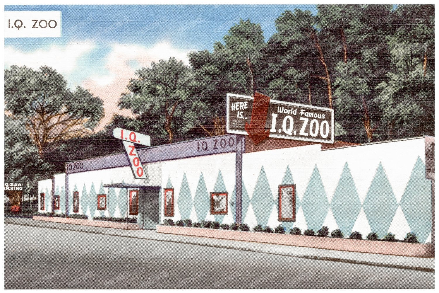 I.Q. Zoo Vintage Postcard Hot Springs Arkansas 1930 - 1945 - Available at KNOWOL