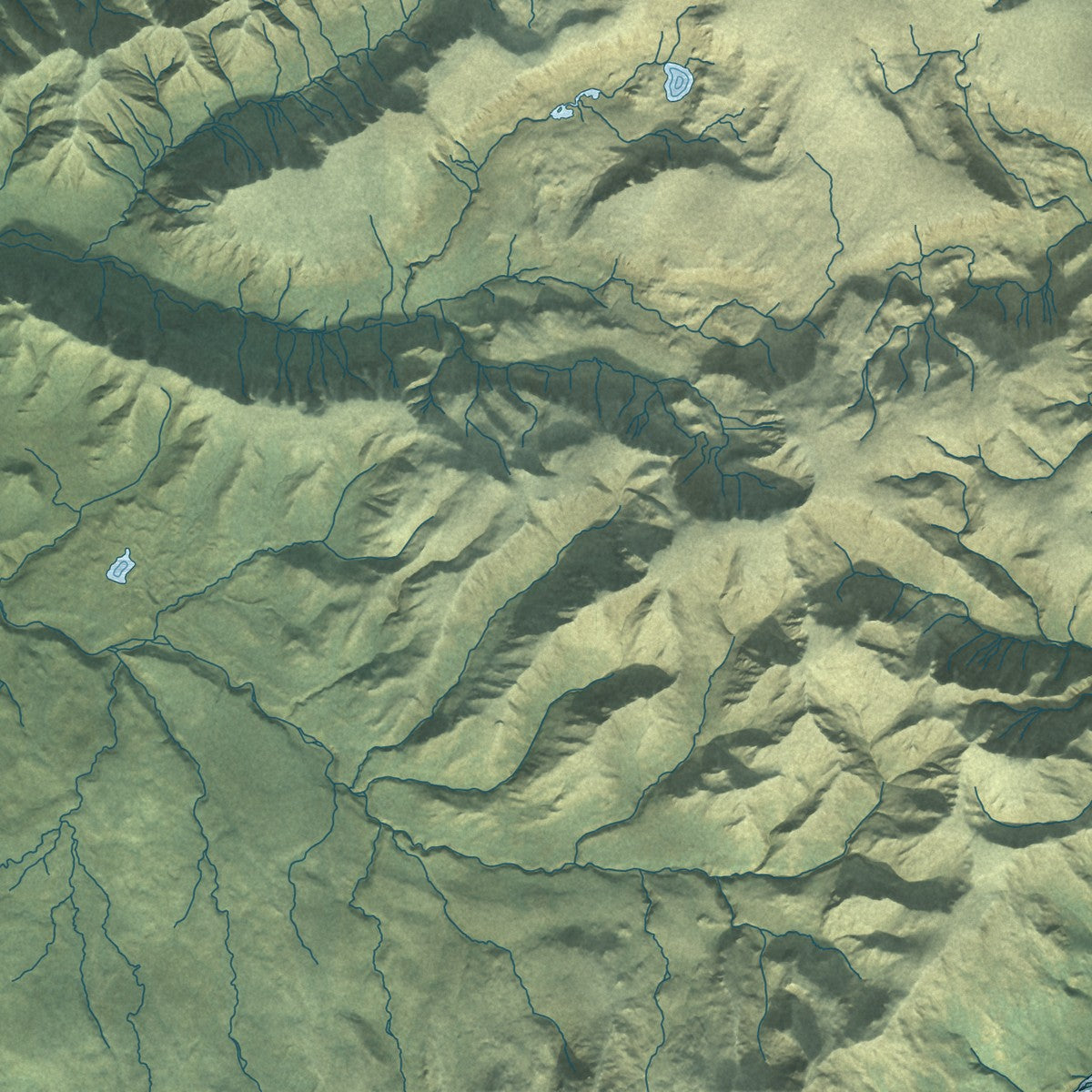 Close-up of the map of Deltana, Alaska print showing street and building detail