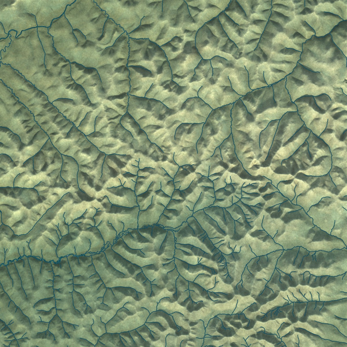 Close-up of the map of Fairbanks North Star, Alaska print showing street and building detail