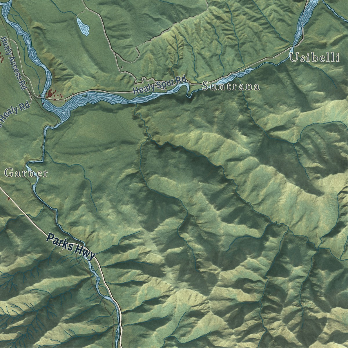 Close-up of the map of Healy, Alaska print showing street and building detail