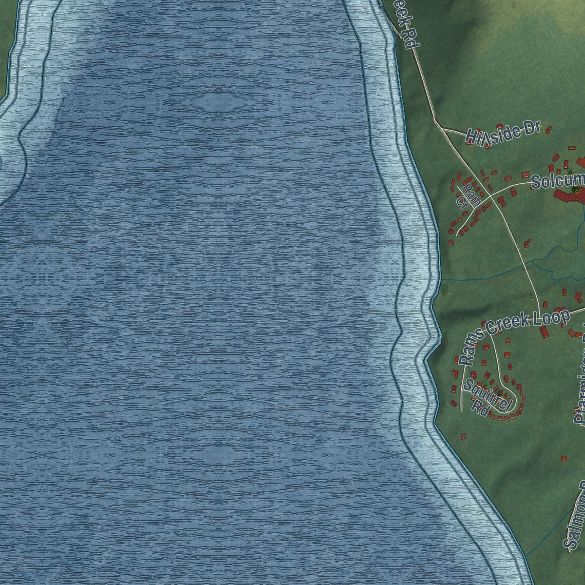 Close-up of the map of King Cove, Alaska print showing street and building detail