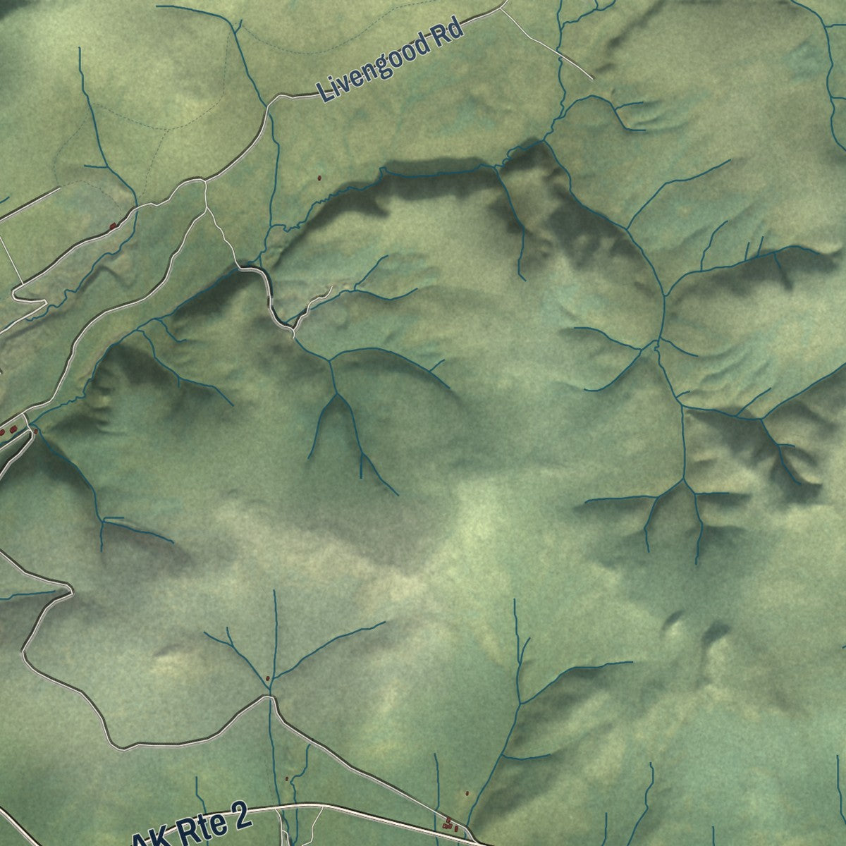 Close-up of the map of Livengood, Alaska print showing street and building detail