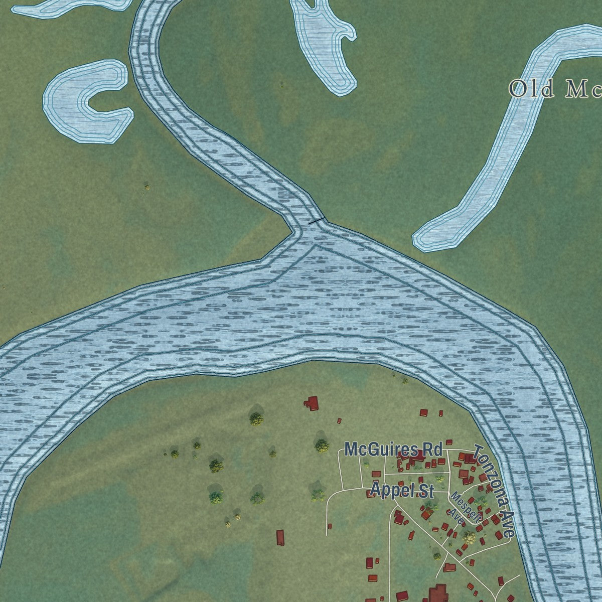 Close-up of the map of McGrath, Alaska print showing street and building detail