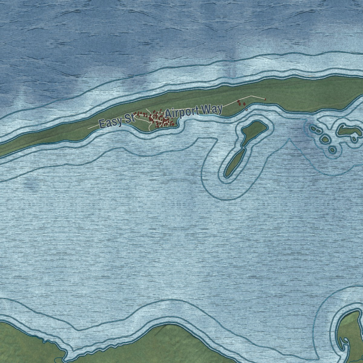 Close-up of the map of Nelson Lagoon, Alaska print showing street and building detail