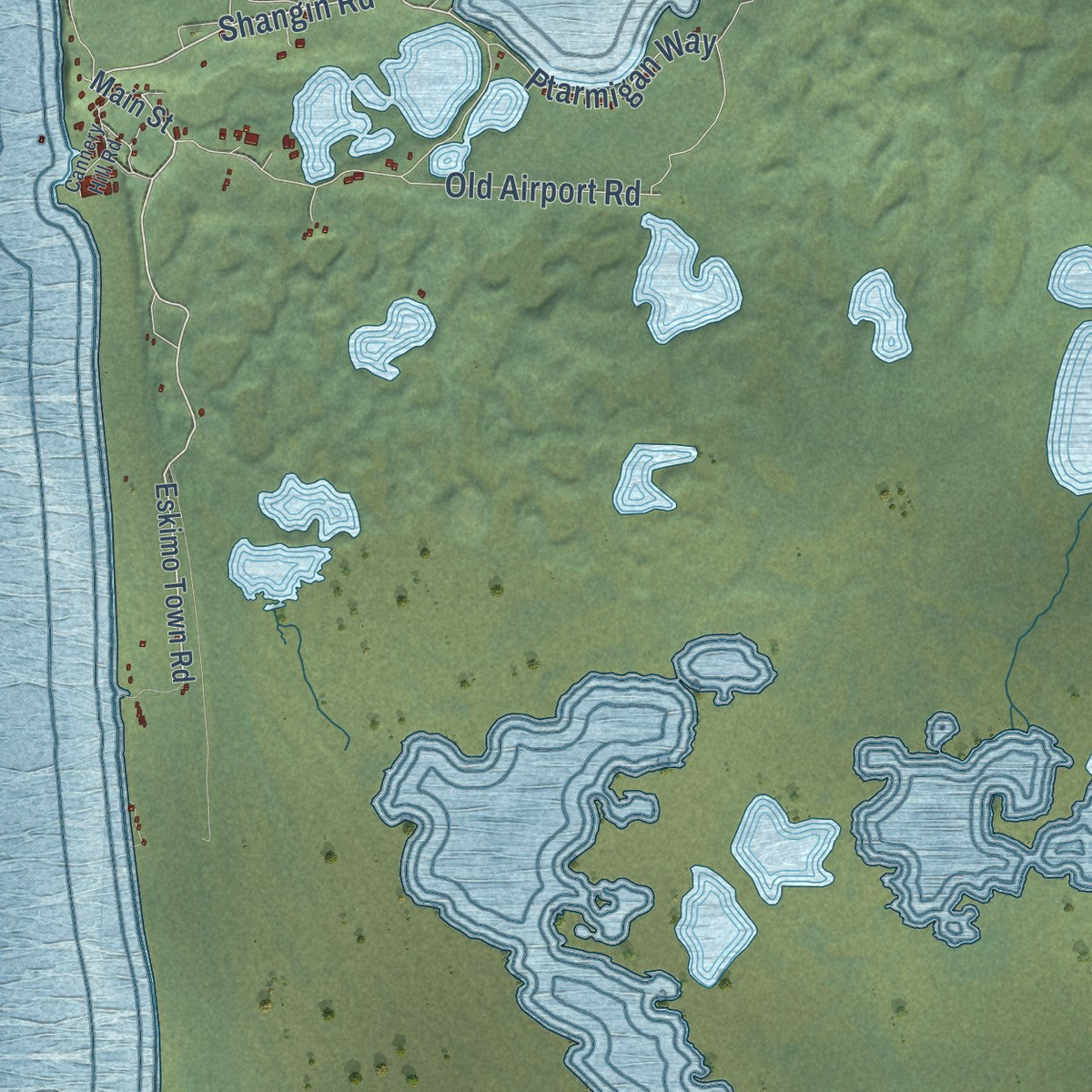 Close-up of the map of Pilot Point, Alaska print showing street and building detail