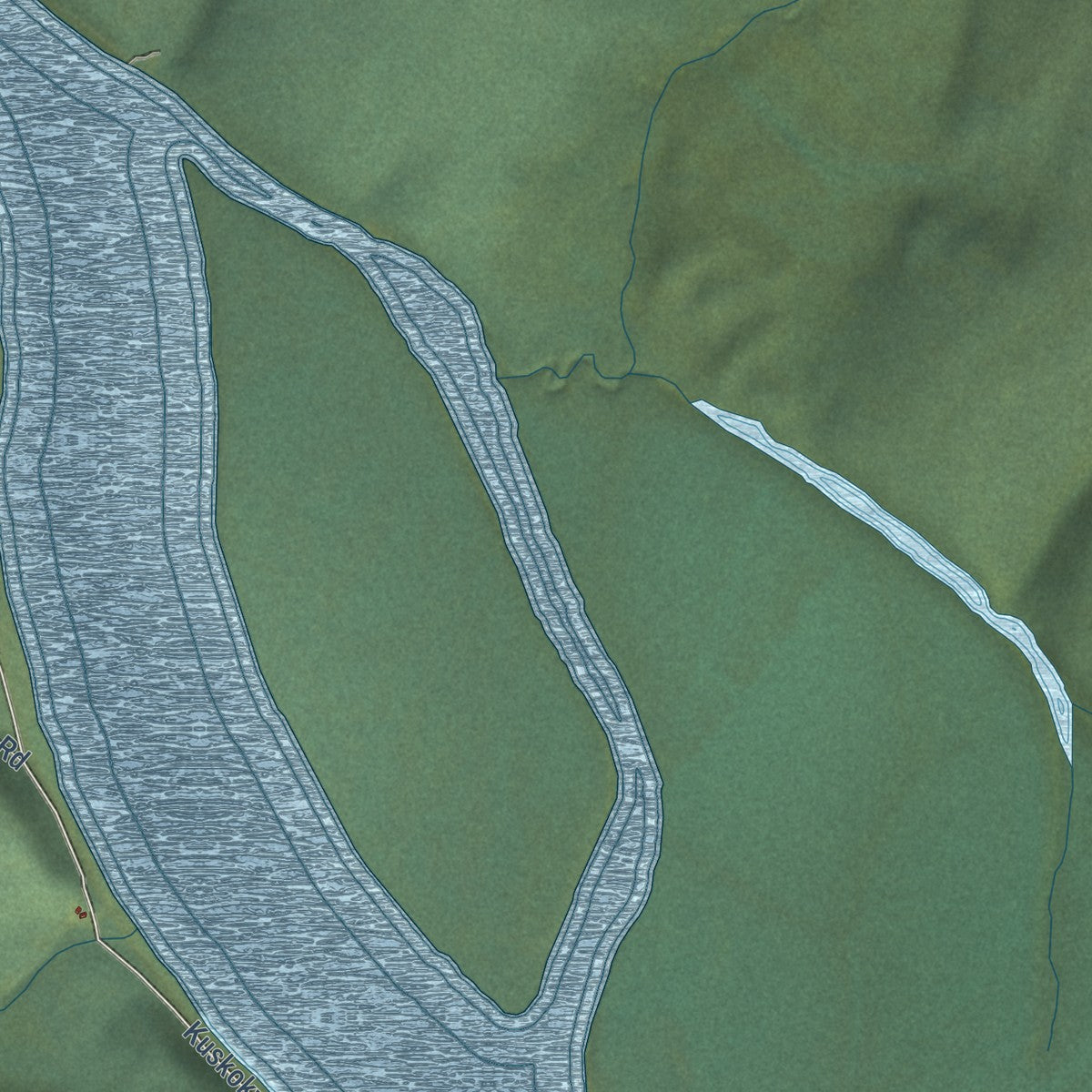 Close-up of the map of Red Devil, Alaska print showing street and building detail