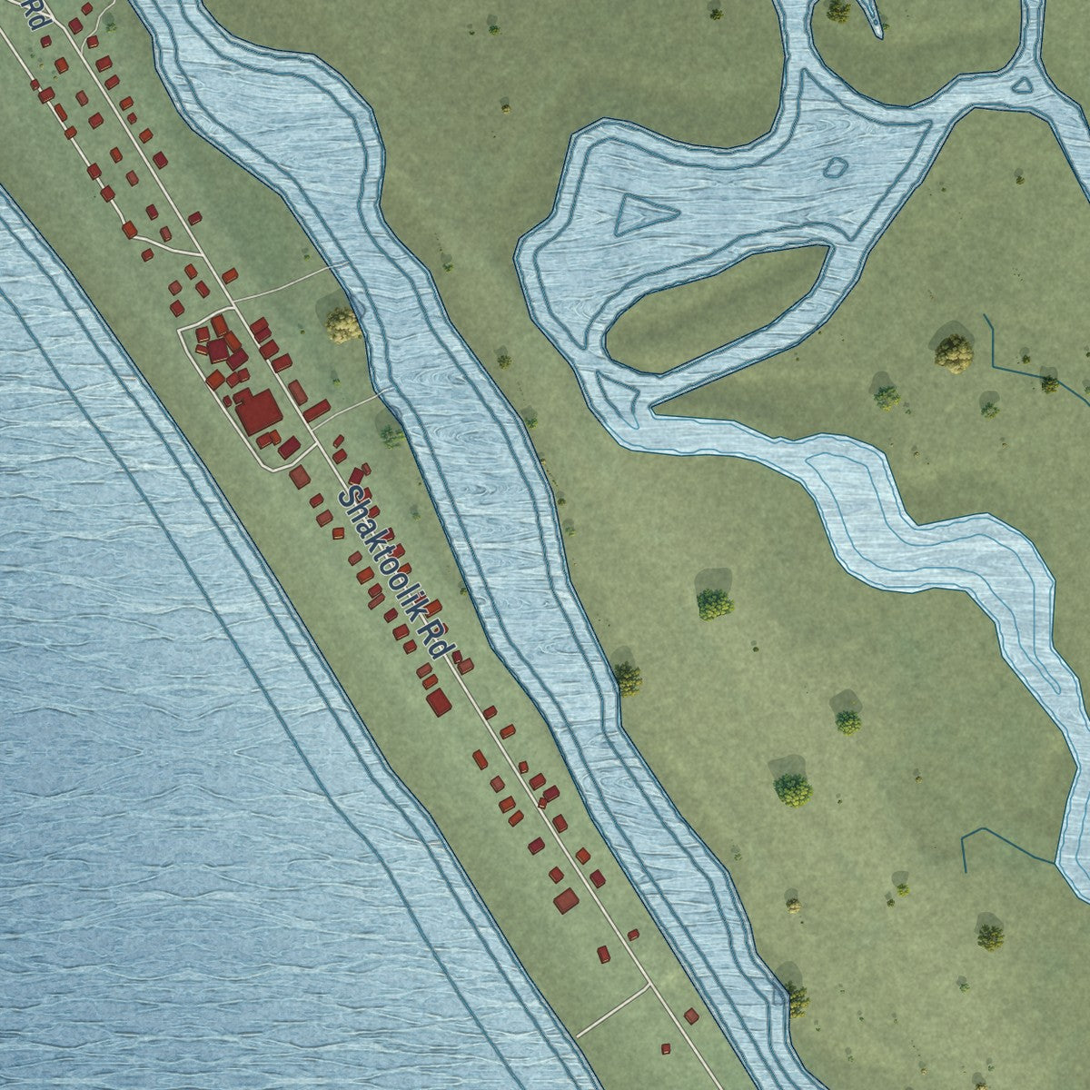 Close-up of the map of Shaktoolik, Alaska print showing street and building detail