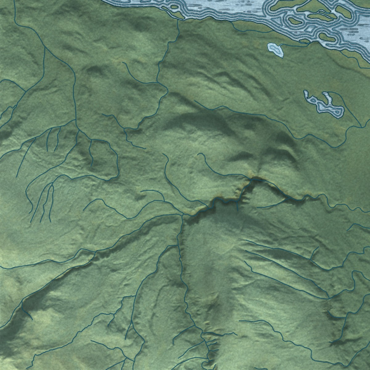 Close-up of the map of Skwentna, Alaska print showing street and building detail
