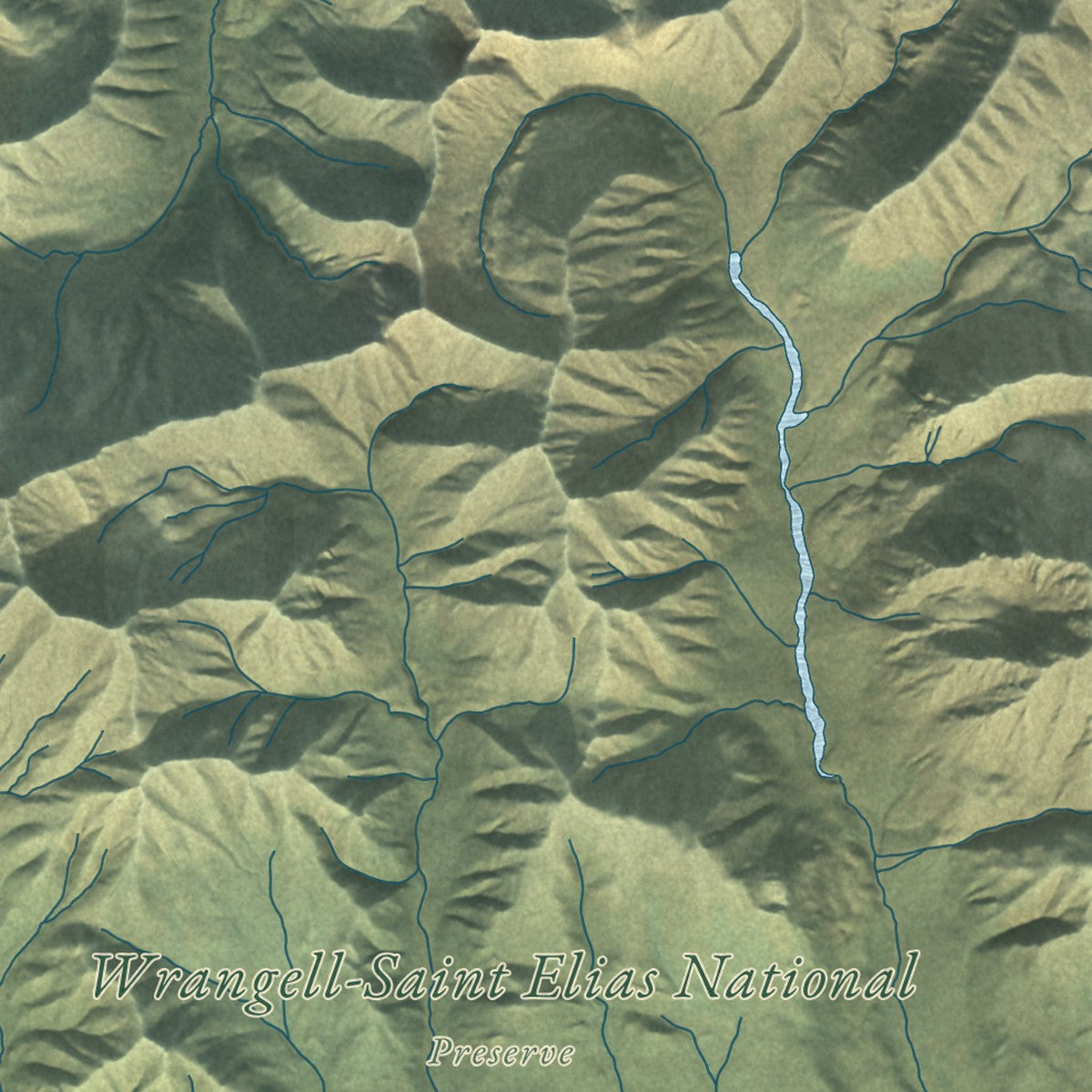 Close-up of the map of Slana, Alaska print showing street and building detail