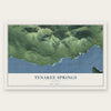 Tenakee Springs, Alaska map print, the full design