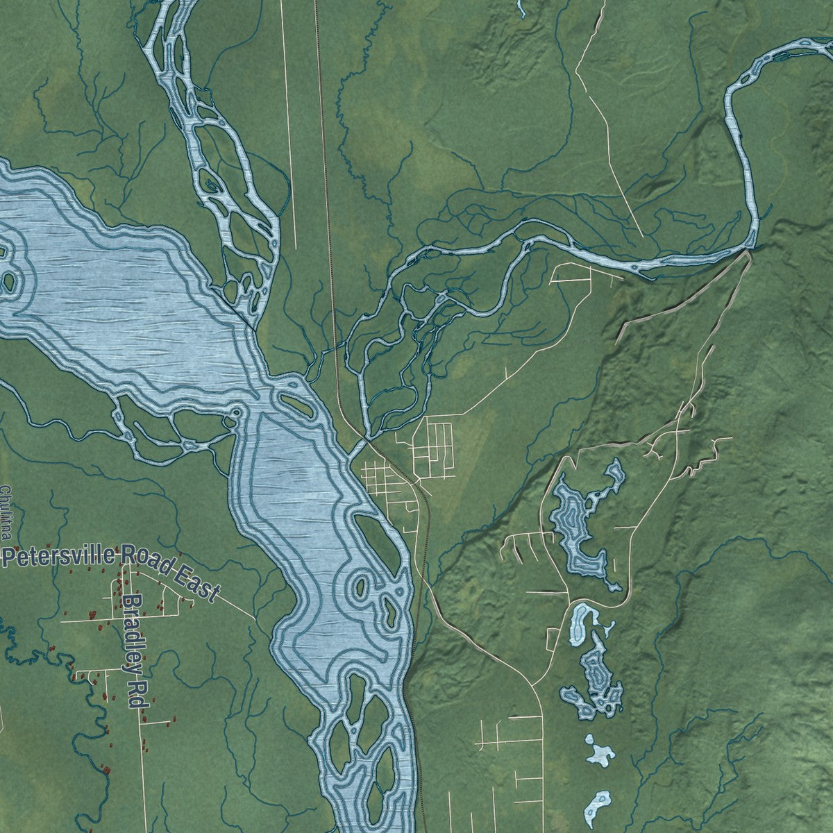Close-up of the map of Trapper Creek, Alaska print showing street and building detail