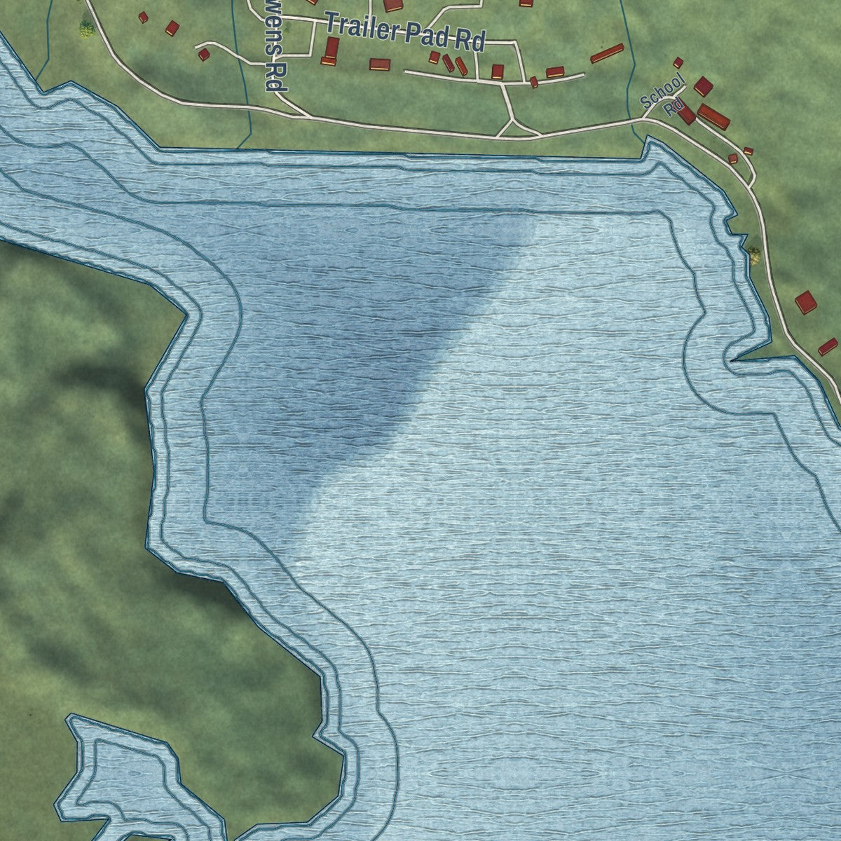 Close-up of the map of Whale Pass, Alaska print showing street and building detail