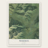 Wiseman, Alaska map print, the full design