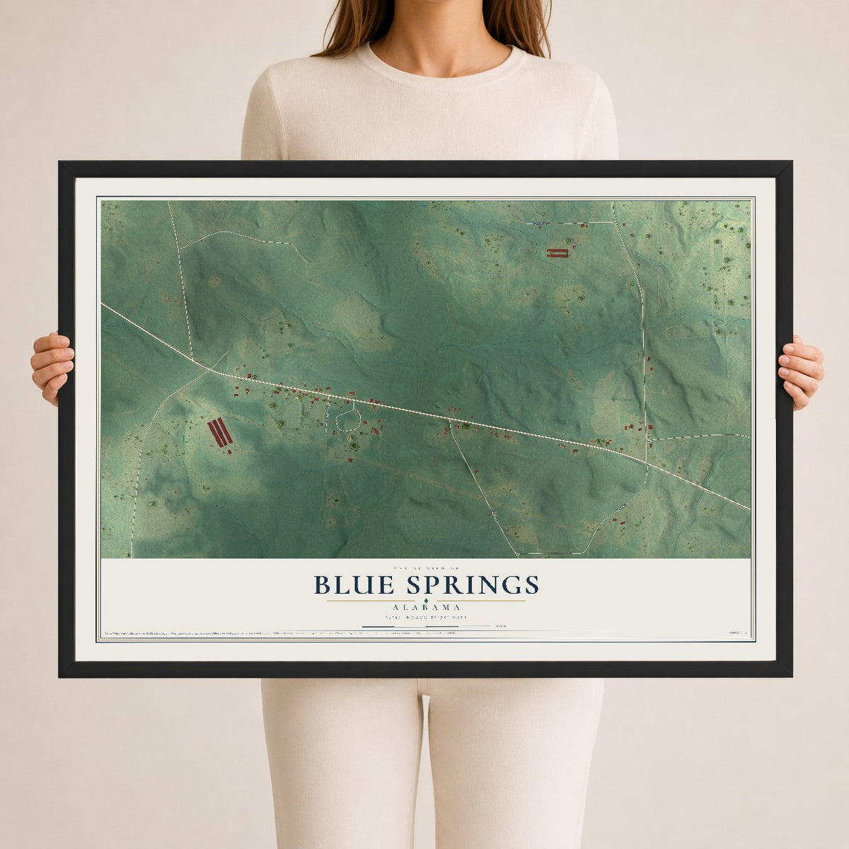 Map of Blue Springs, Alabama, 24 x 36 inch print in a black wood frame