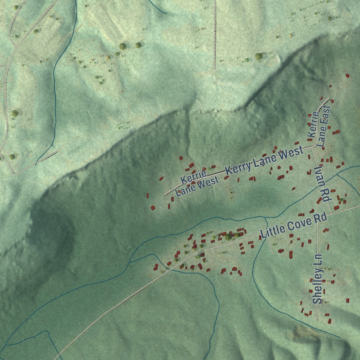 Close-up of the map of Bristow Cove, Alabama print showing street and building detail
