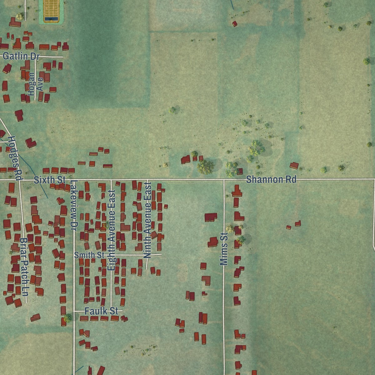 Close-up of the map of Cedar Hill, Alabama print showing street and building detail