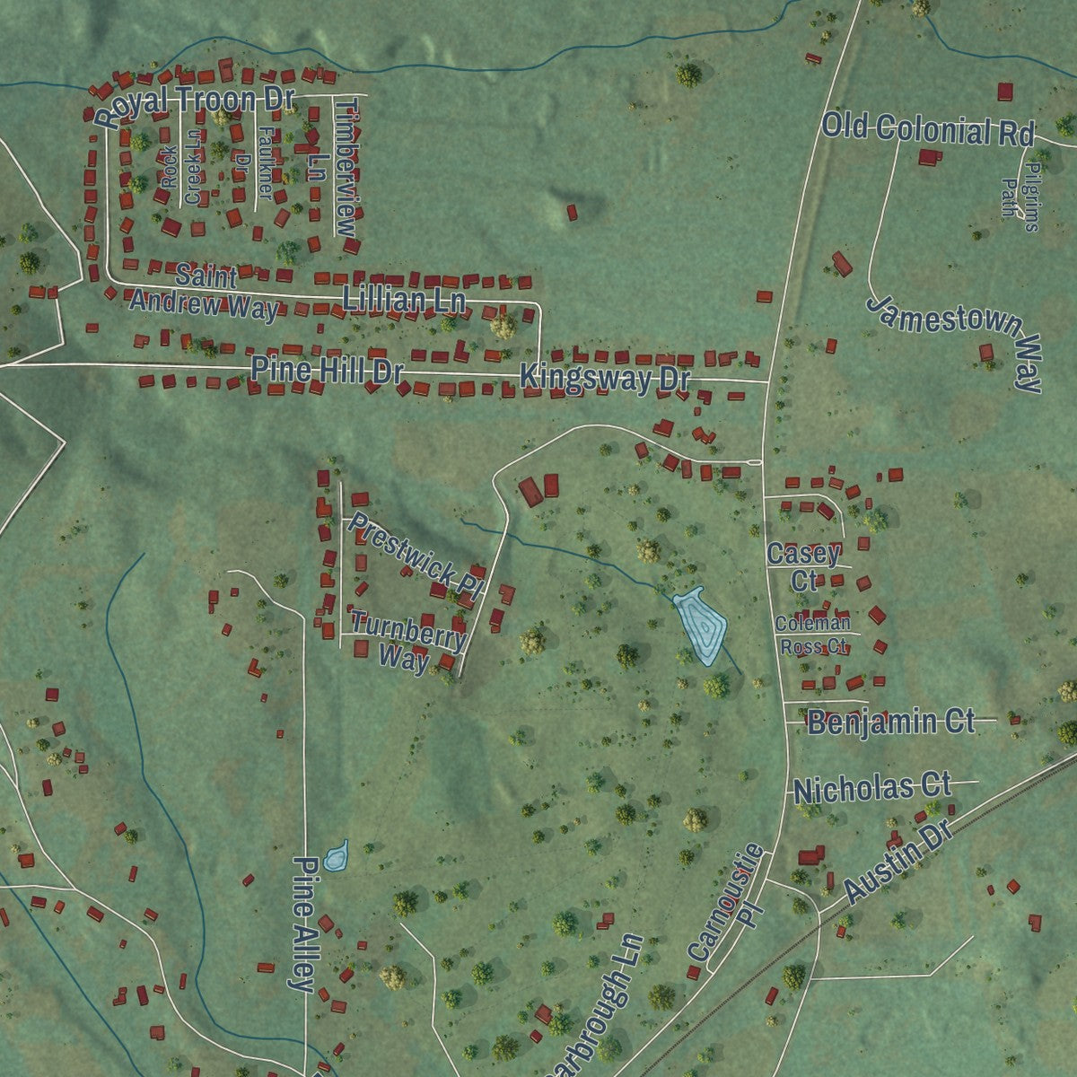Close-up of the map of Choccolocco, Alabama print showing street and building detail
