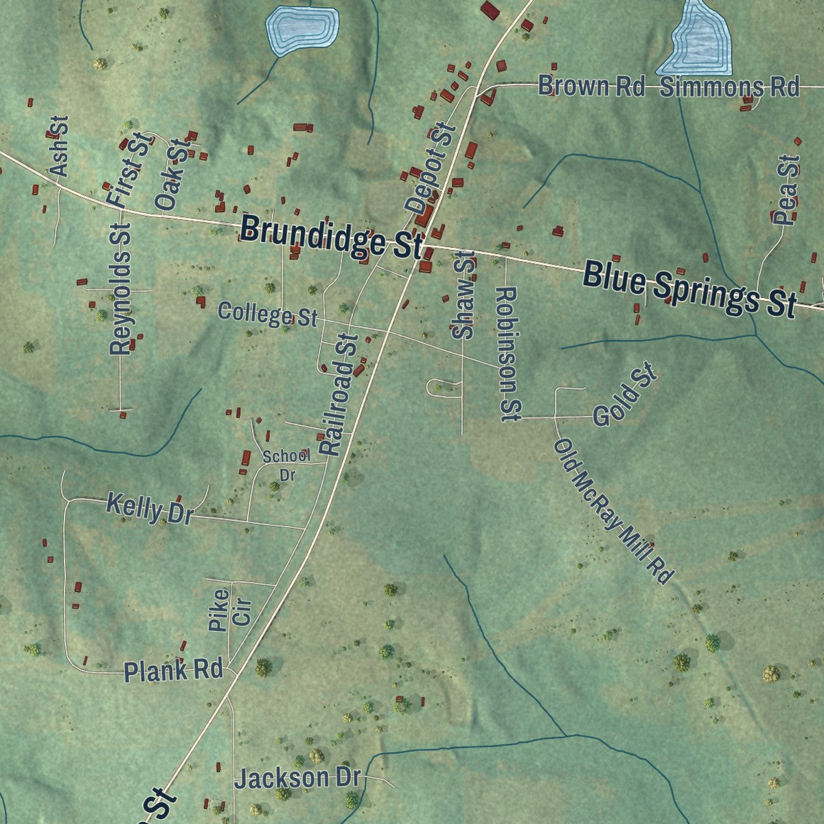 Close-up of the map of Clio, Alabama print showing street and building detail