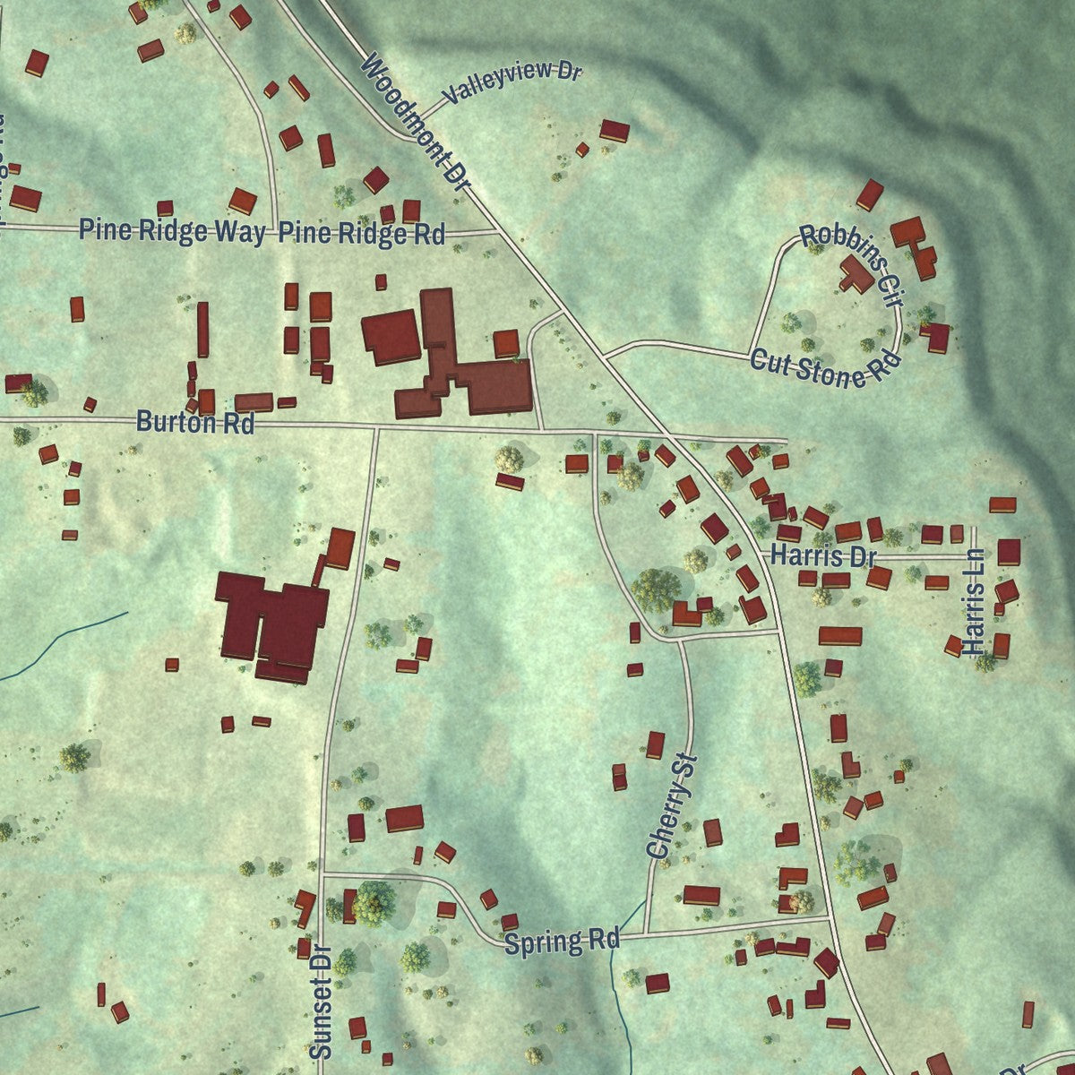 Close-up of the map of Colbert Heights, Alabama print showing street and building detail