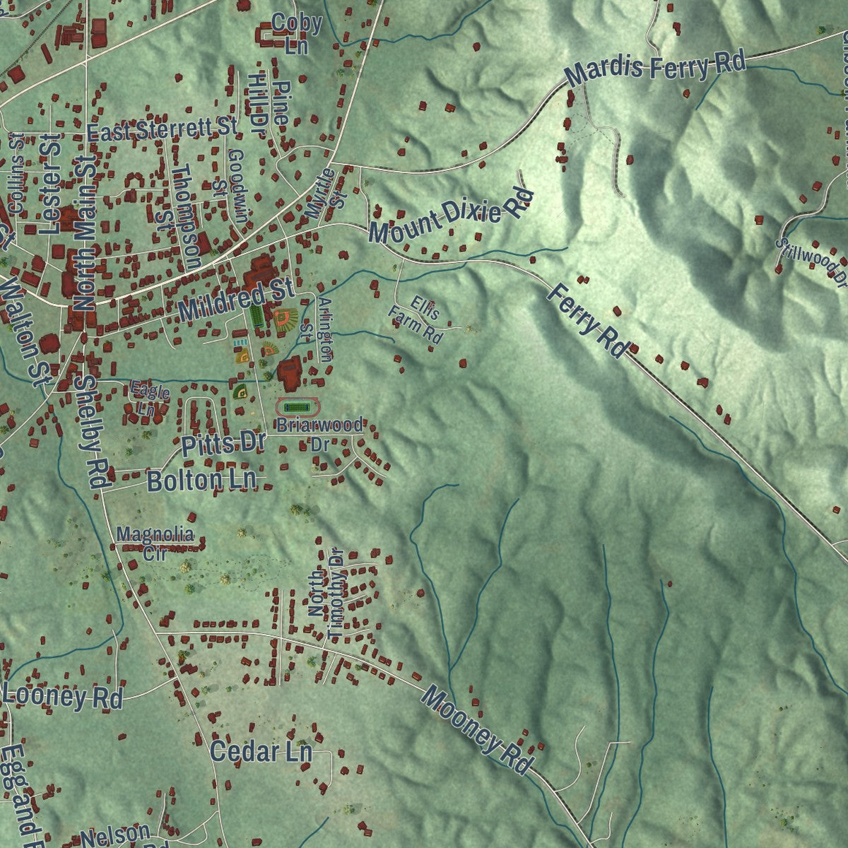 Close-up of the map of Columbiana, Alabama print showing street and building detail