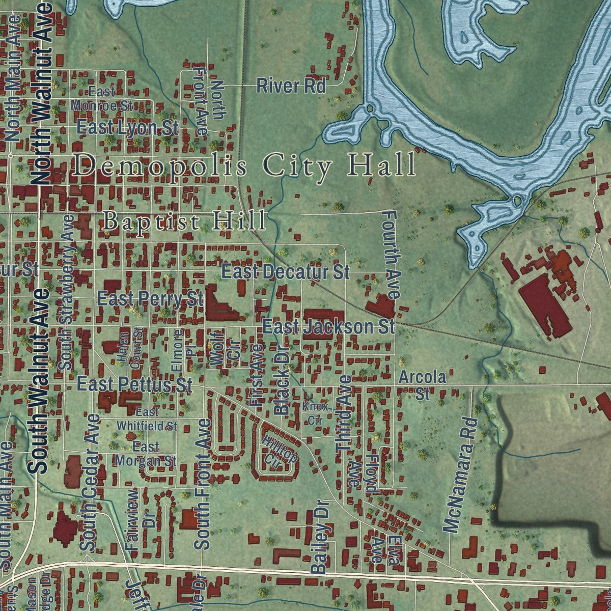 Close-up of the map of Demopolis, Alabama print showing street and building detail