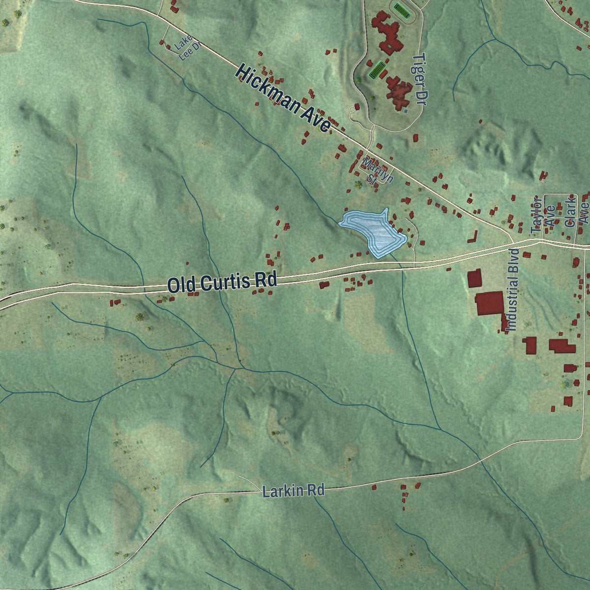Second close-up of the map of Elba, Alabama print showing more streets and buildings