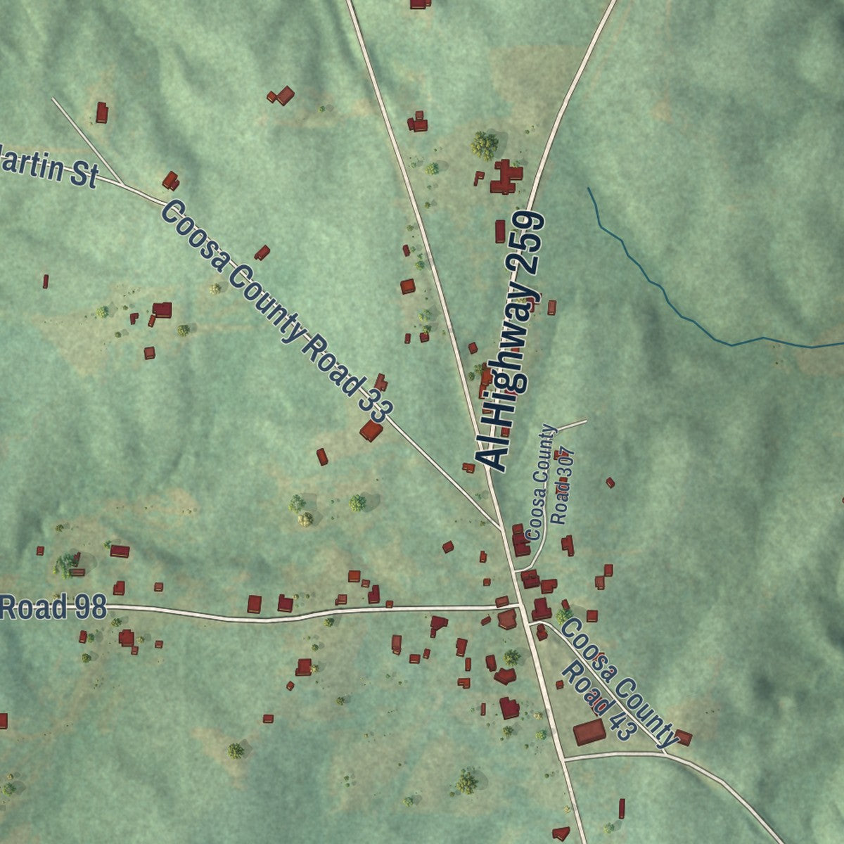 Close-up of the map of Equality, Alabama print showing street and building detail