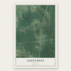 Gulfcrest, Alabama map print, the full design