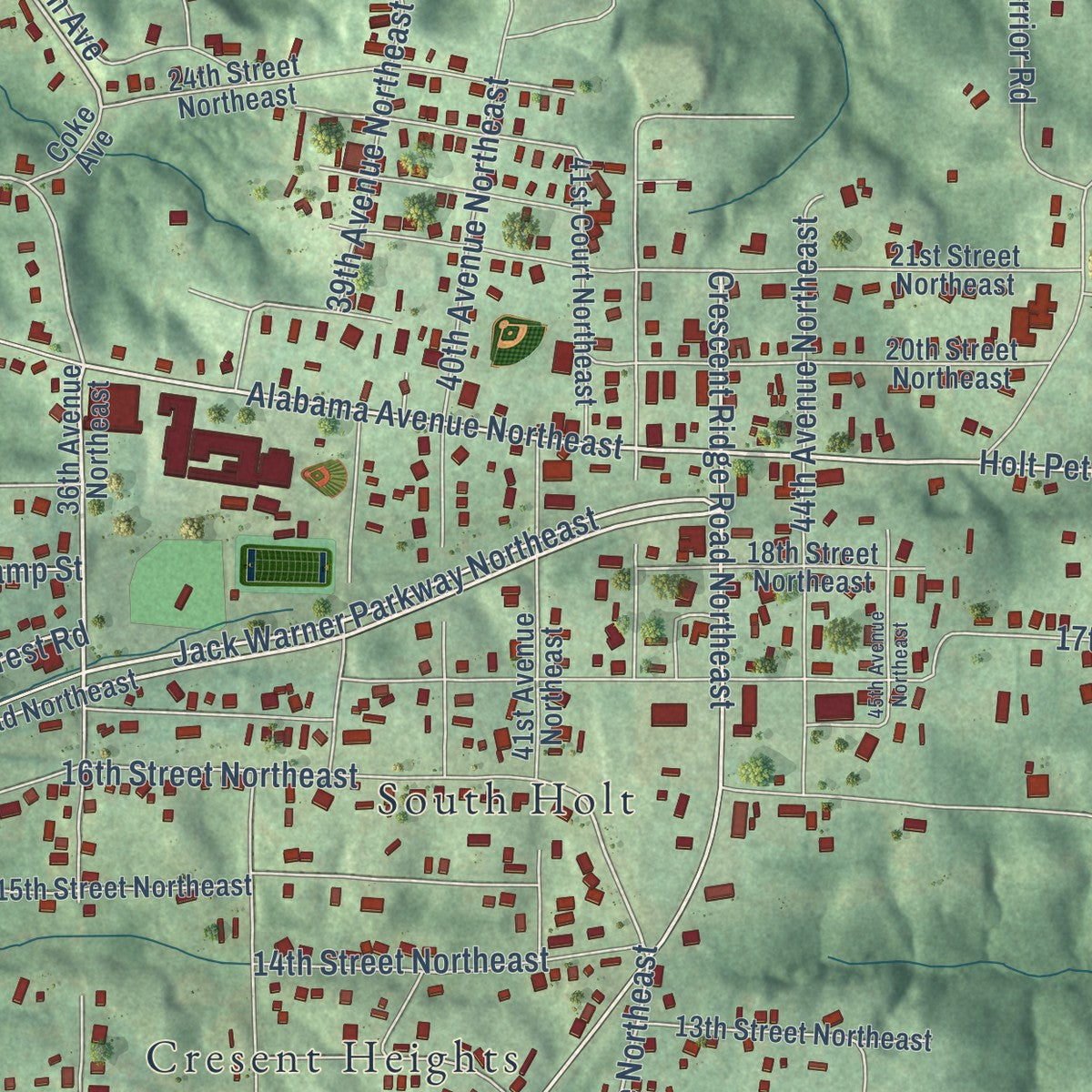 Close-up of the map of Holt, Alabama print showing street and building detail