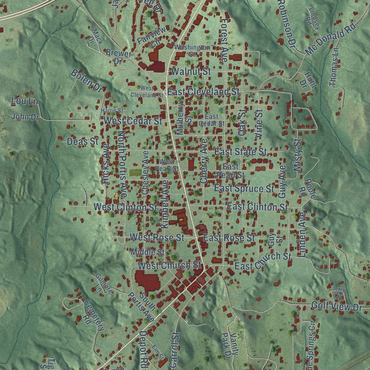 Second close-up of the map of Jackson, Alabama print showing more streets and buildings