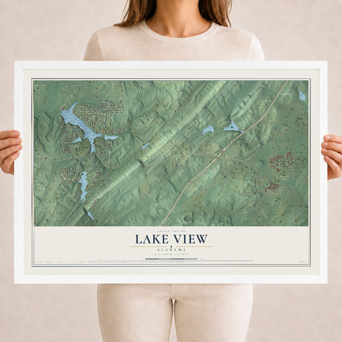 Map of Lake View, Alabama, 18 x 24 inch print in a white wood frame