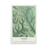 Map of Lester, Alabama, 12 x 18 inch unframed archival matte print