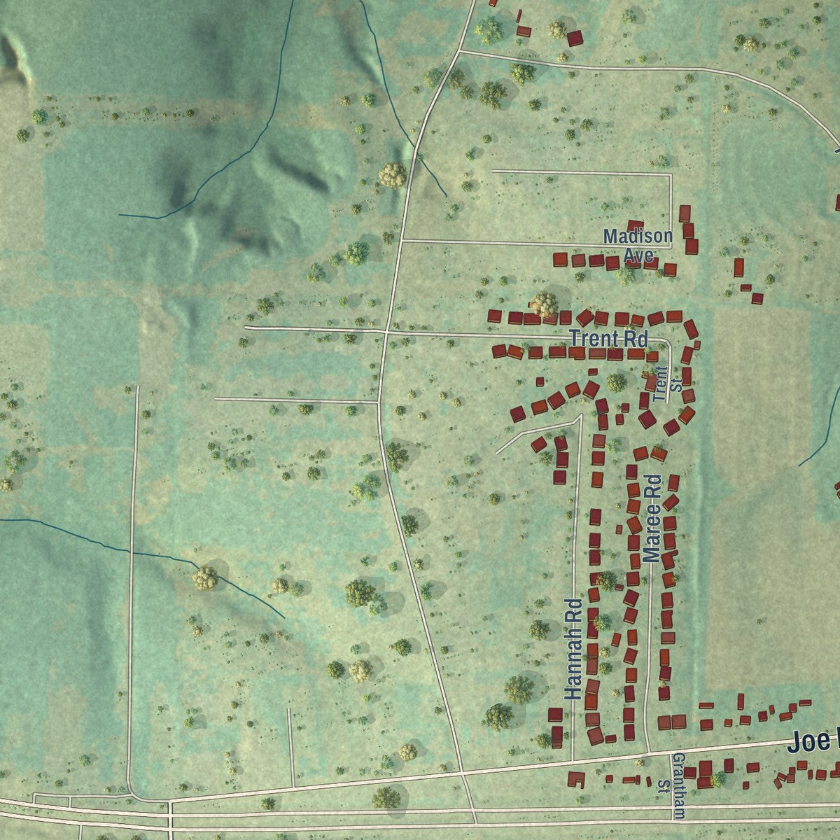 Second close-up of the map of Level Plains, Alabama print showing more streets and buildings