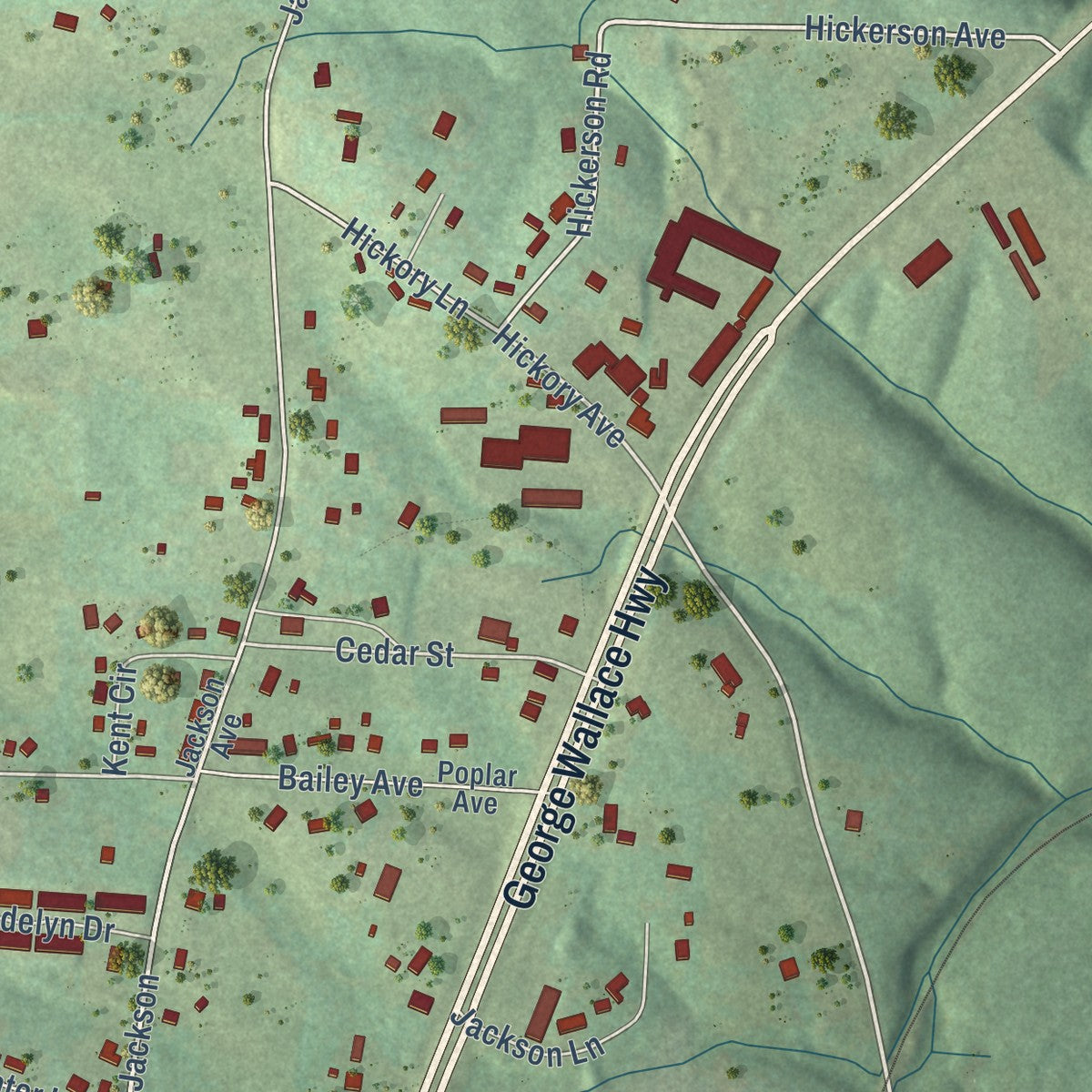 Close-up of the map of Littleville, Alabama print showing street and building detail