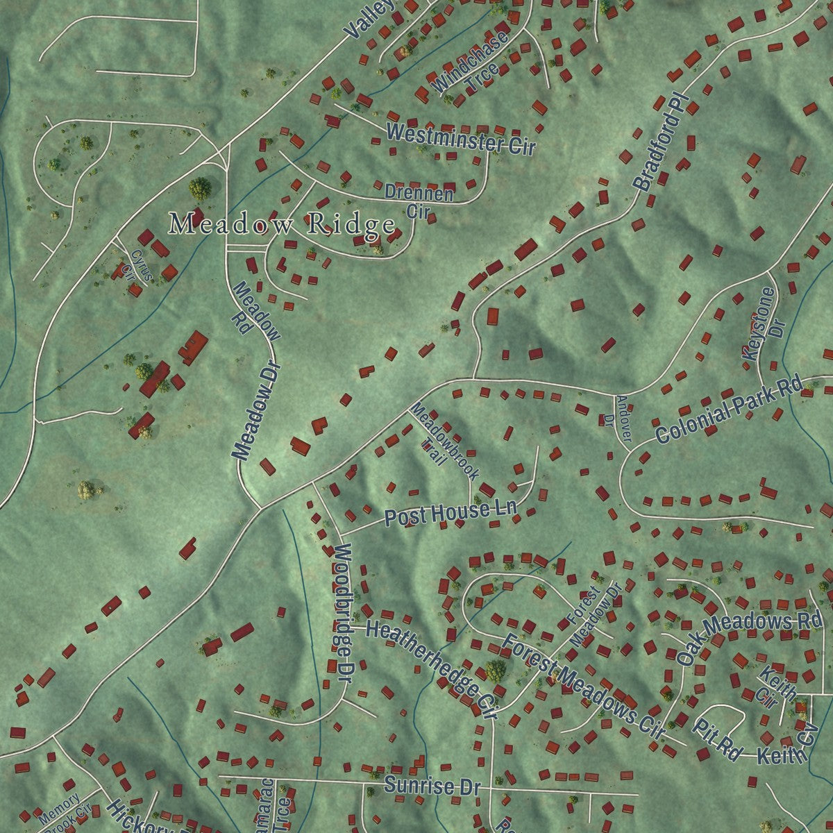 Second close-up of the map of Meadowbrook, Alabama print showing more streets and buildings