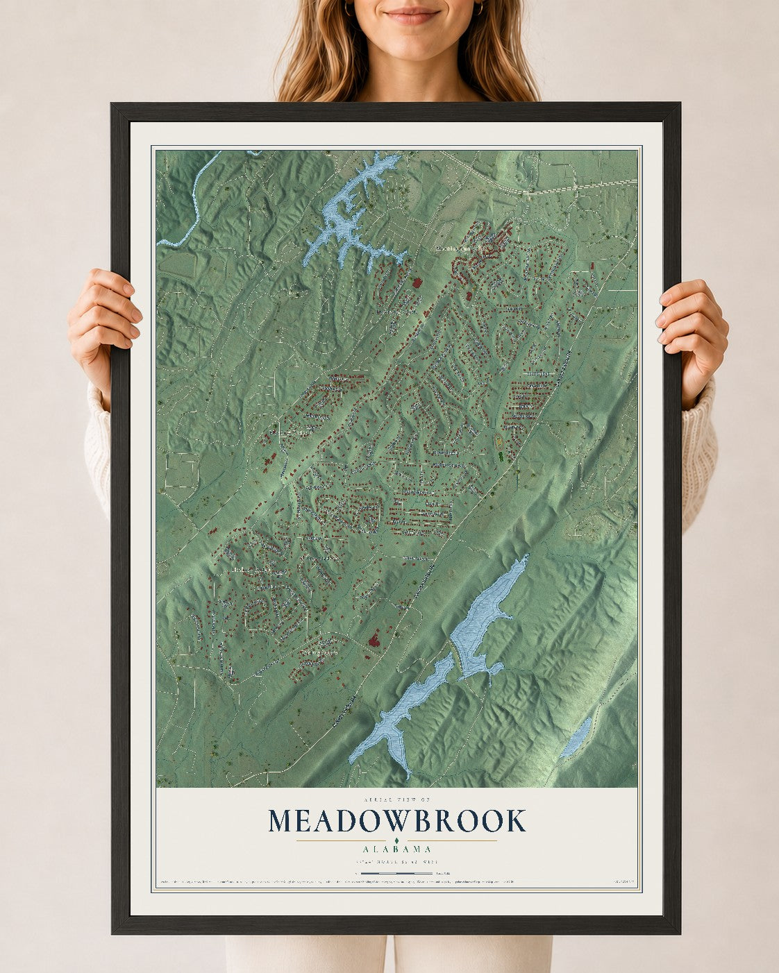 Map of Meadowbrook, Alabama, 24 x 36 inch print in a black wood frame