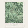Mount Olive, Jefferson County, Alabama map print, the full design