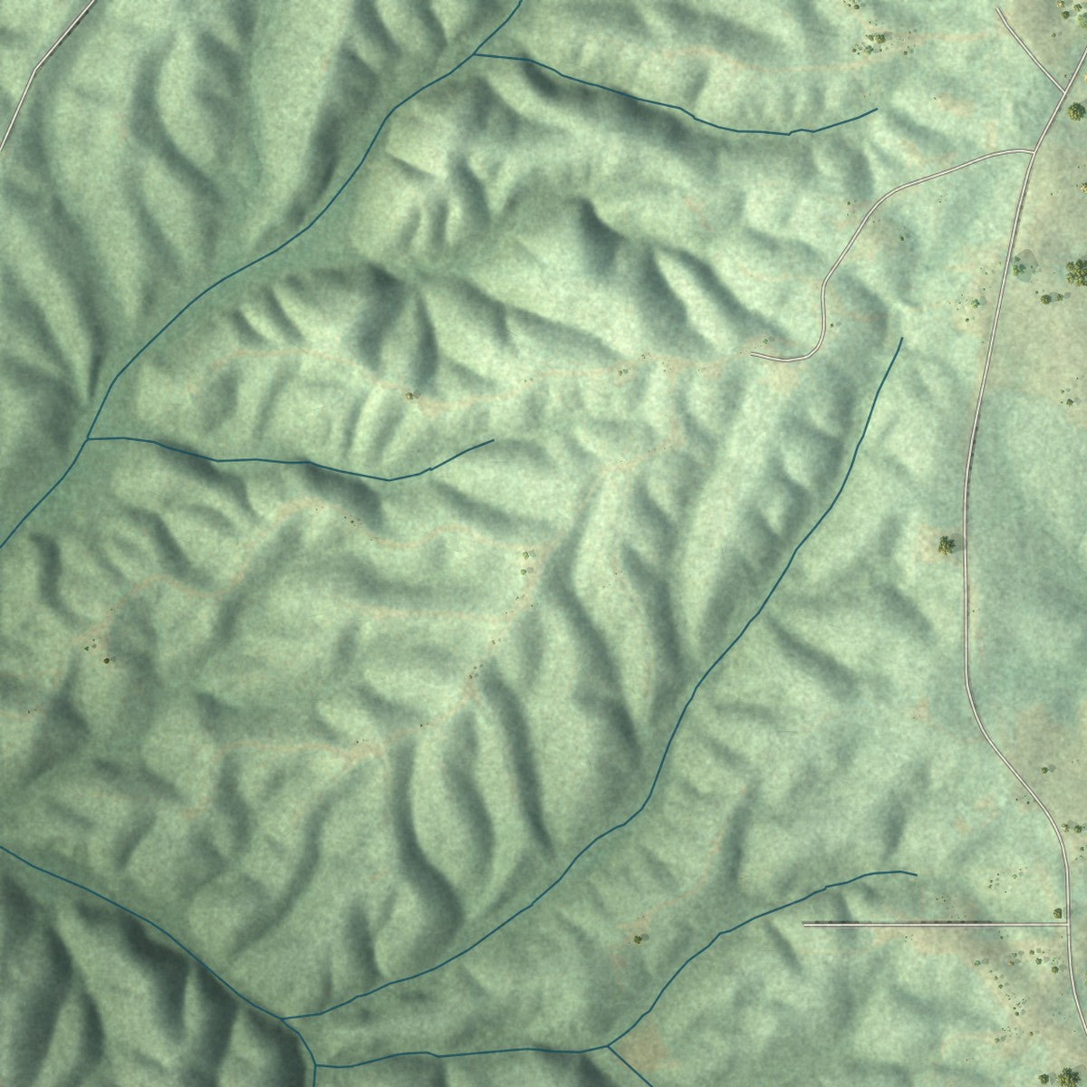 Second close-up of the map of New Site, Alabama print showing more streets and buildings