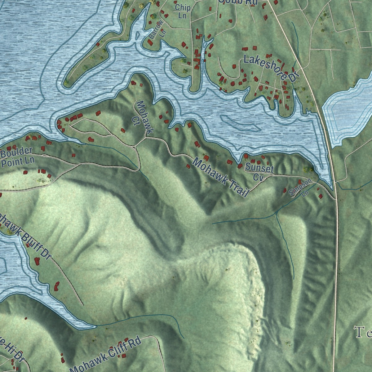 Second close-up of the map of Ohatchee, Alabama print showing more streets and buildings