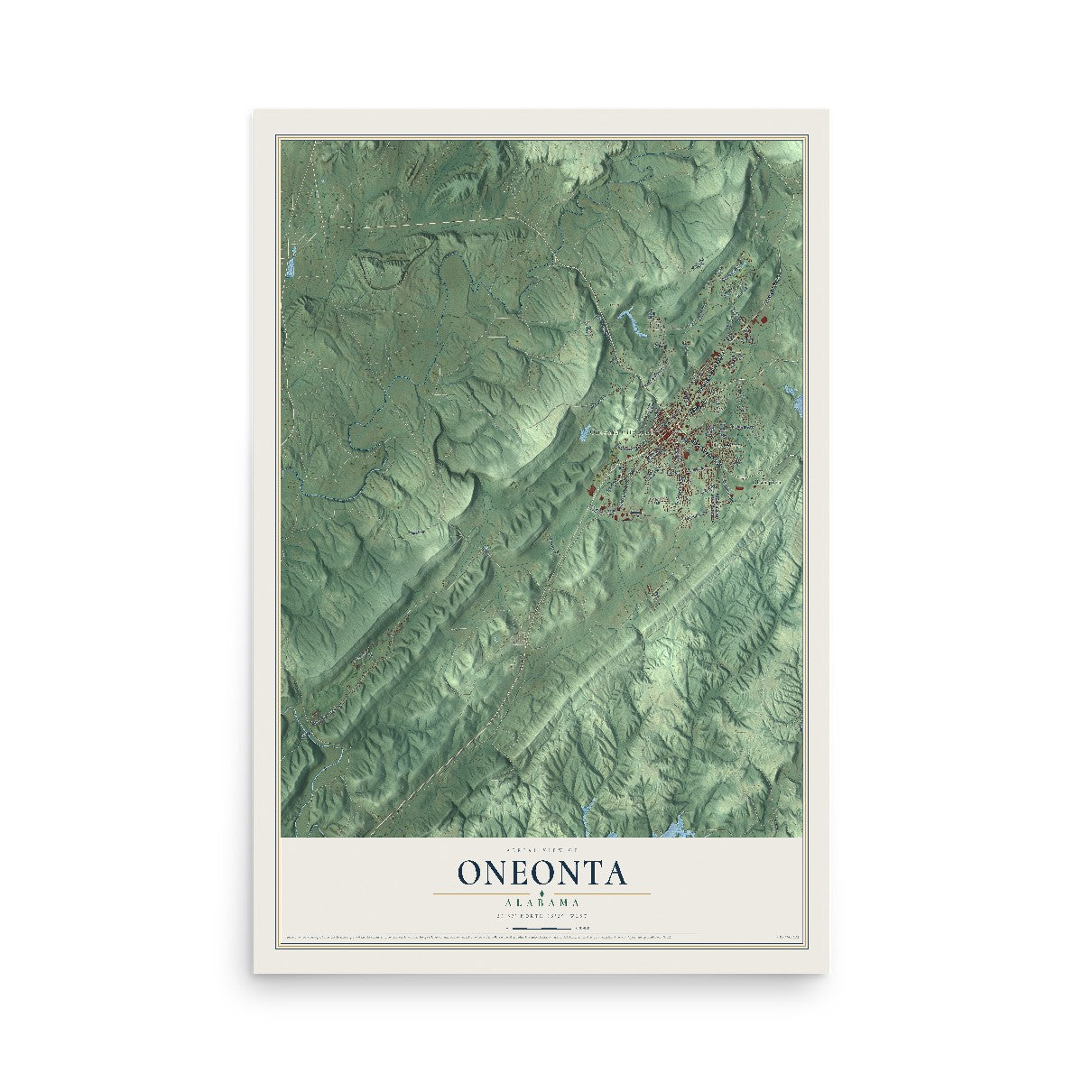 Map of Oneonta, Alabama, 12 x 18 inch unframed archival matte print