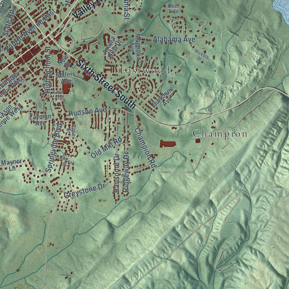 Close-up of the map of Oneonta, Alabama print showing street and building detail