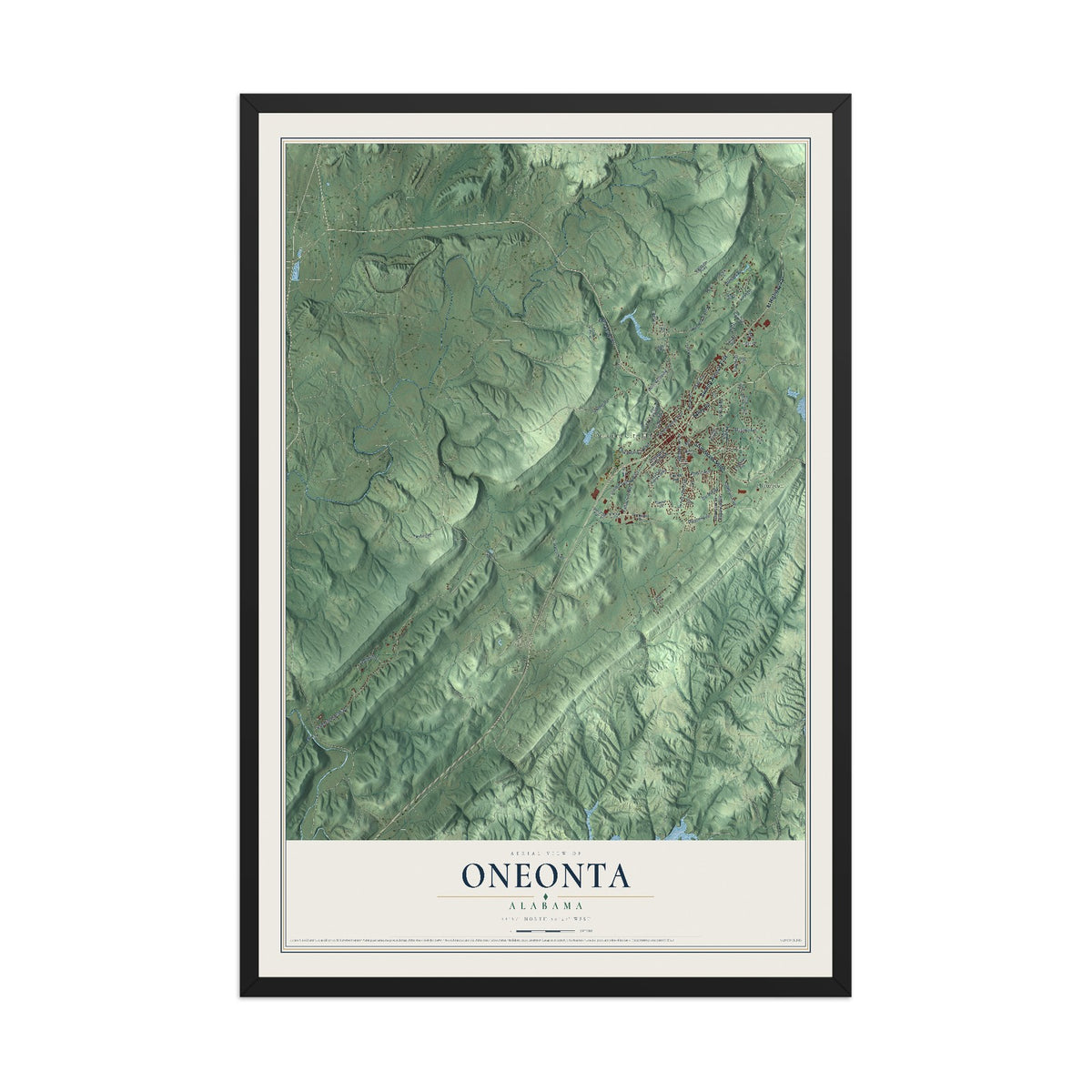 Map of Oneonta, Alabama, 12 x 18 inch print in a black wood frame