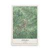 Map of Opelika, Alabama, 12 x 18 inch unframed archival matte print