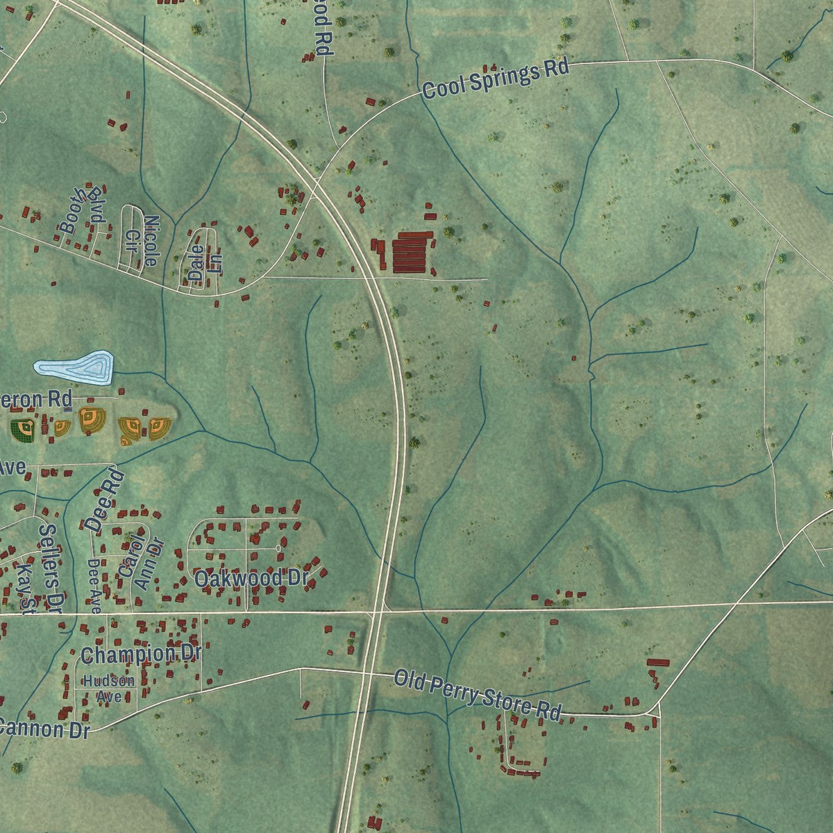 Second close-up of the map of Opp, Alabama print showing more streets and buildings
