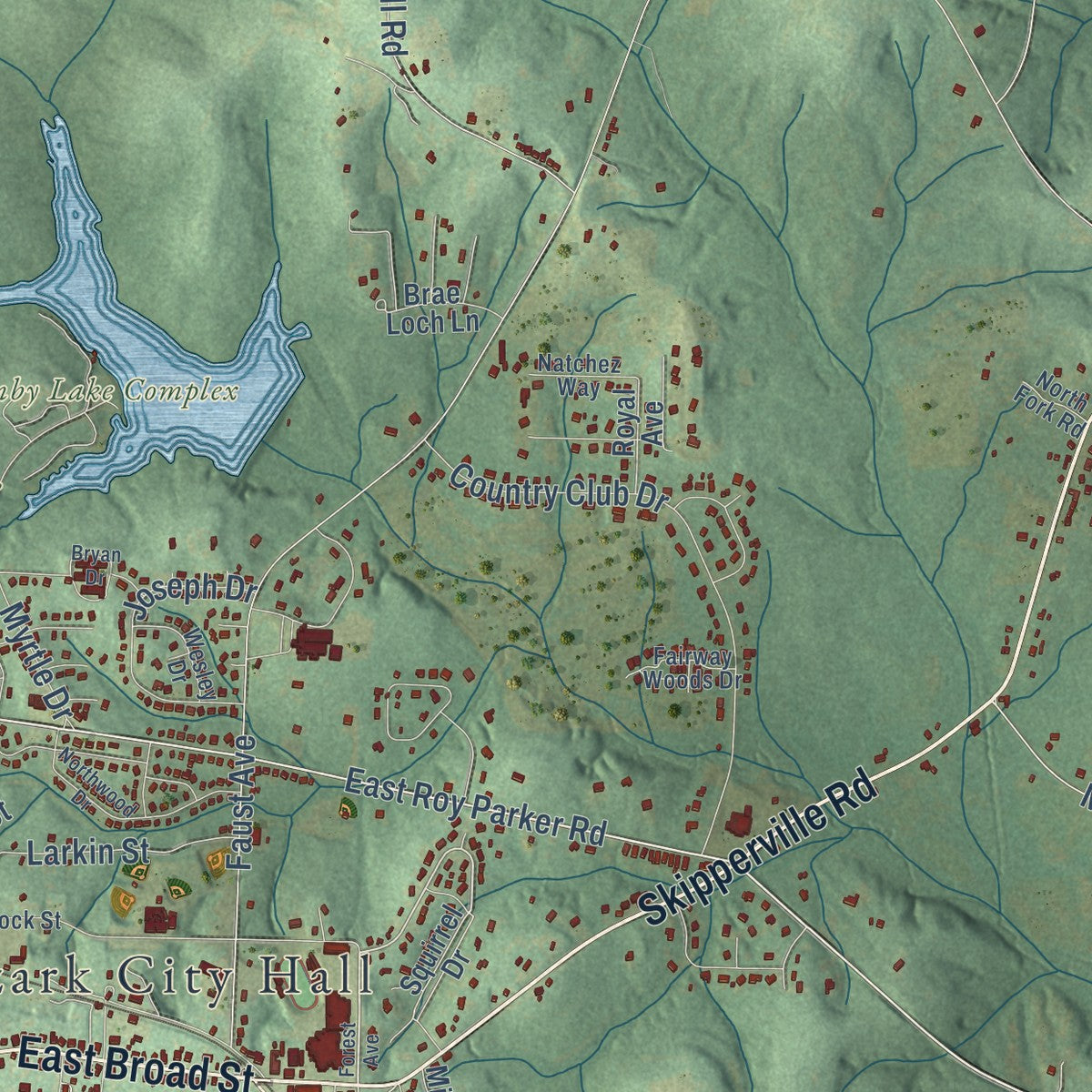 Second close-up of the map of Ozark, Alabama print showing more streets and buildings