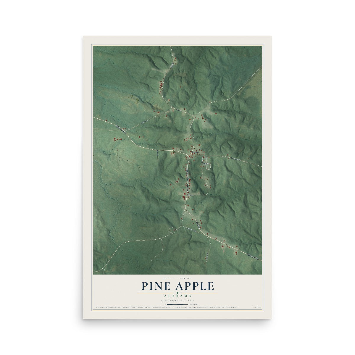 Map of Pine Apple, Alabama, 12 x 18 inch unframed archival matte print