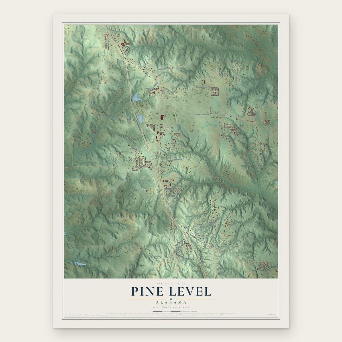 Pine Level, Alabama map print, the full design