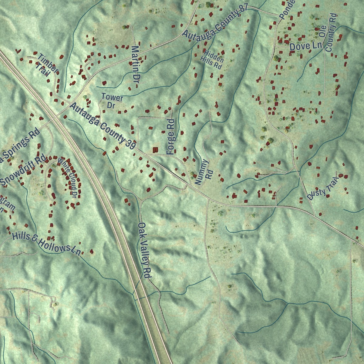 Close-up of the map of Pine Level, Alabama print showing street and building detail