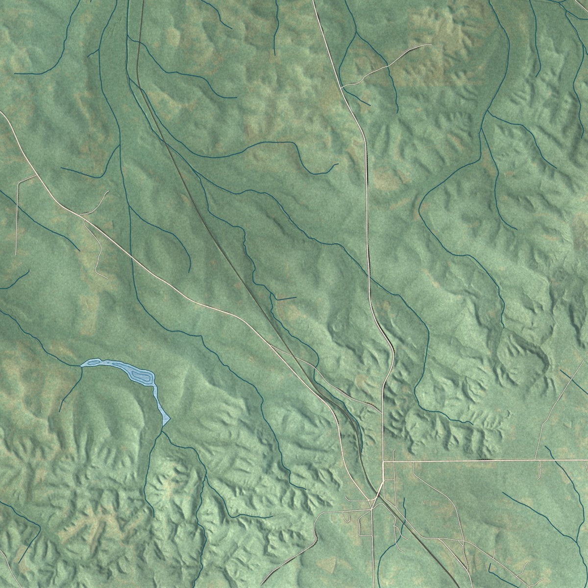 Close-up of the map of Pintlala, Alabama print showing street and building detail